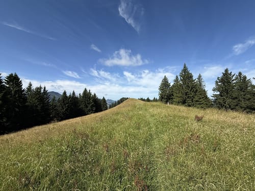 Von Thalkirchdorf zum Denneberg