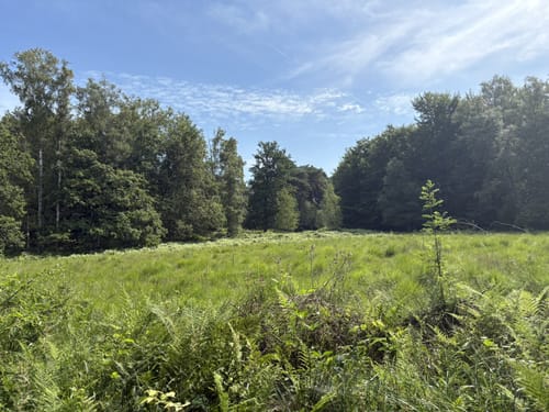 Neanderlandsteig Etappe 16: Solingen – Haan-Hülsberg