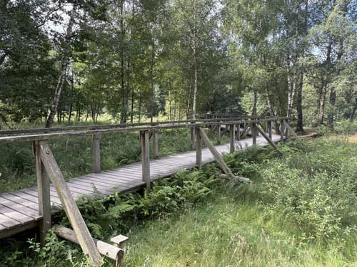 Neanderlandsteig Etappe 16: Solingen – Haan-Hülsberg