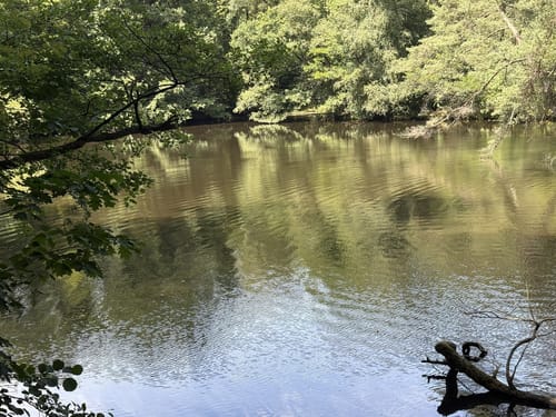 Neanderlandsteig Etappe 16: Solingen – Haan-Hülsberg