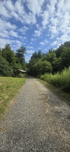 Waldschluchtenweg (Traumpfad)