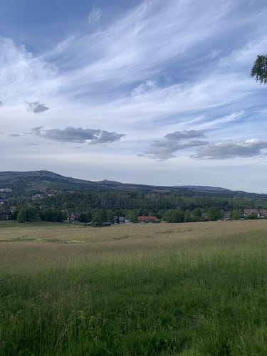 Um die Hasselhofwiesen