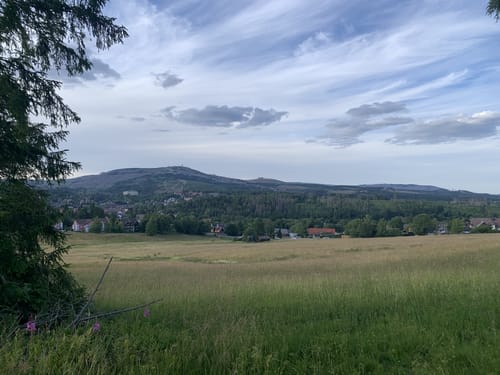 Um die Hasselhofwiesen