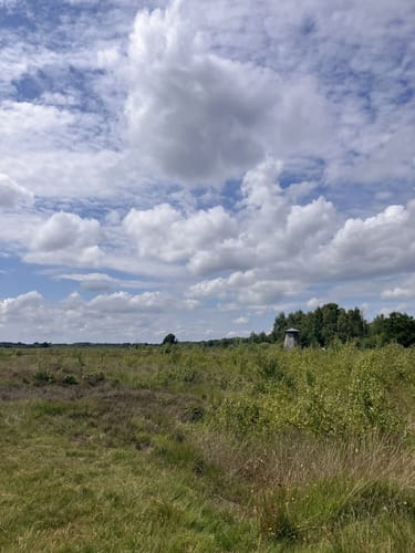 Großes Torfmoor
