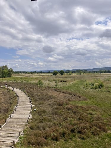 Großes Torfmoor
