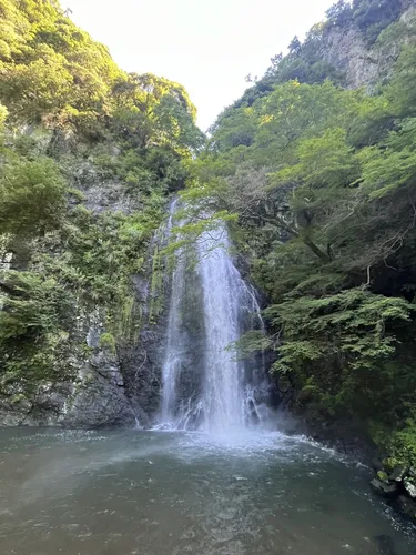 ペイ国の山 Minoyama Park Travel Guides (Saitama Pref. Chichibushi