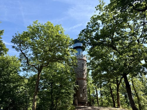 Alzenau 2 : Wald und Wallfahrt