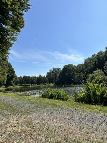 Naturschutzgebiet Theißtal und Waldsee ab Niedernhausen