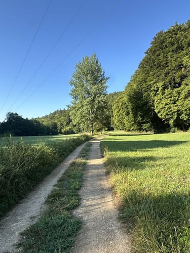 Hartlmühle - Kronberg - Laaber