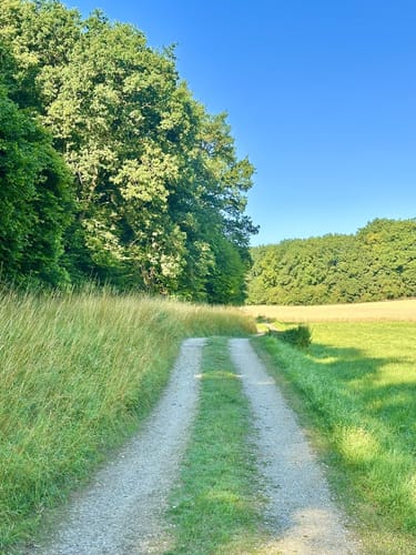 Hartlmühle - Kronberg - Laaber