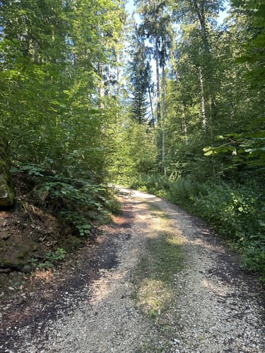 Hartlmühle - Kronberg - Laaber