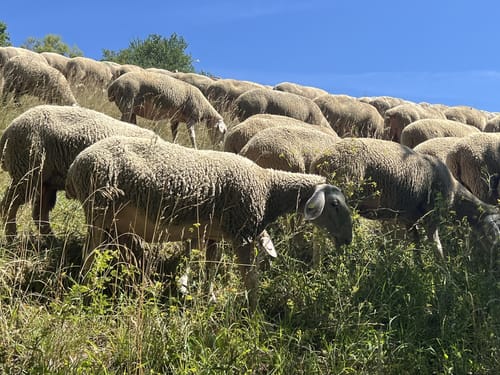 Rund um die Bischofsstadt Eichstätt
