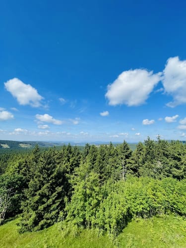 Zum Großen Finsterberg ab Stützerbach