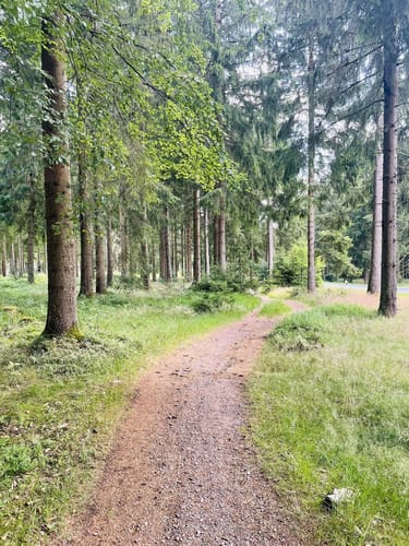 Zum Großen Finsterberg ab Stützerbach
