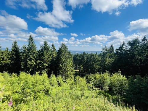 Zum Großen Finsterberg ab Stützerbach