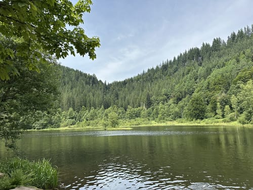 Sankenbachsteig (Premiumwanderweg)