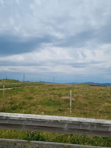 Feldberg-Ort - Feldsee - Feldberg