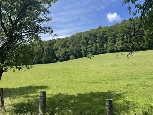 Eggeweg Etappe 1: Externsteine - Bad Driburg