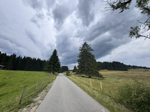 Grünten ab Wanderparkplatz Großer Wald