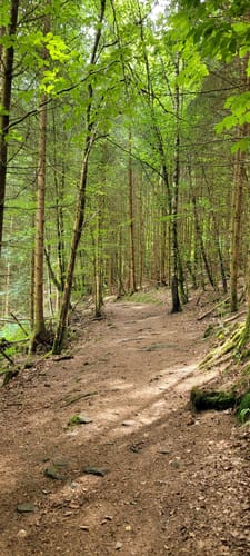 Rundwanderweg 2 Erbach Dreiseetal: Ernsbach-Weg