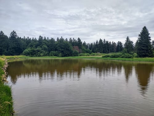 GipfelTour Schotten (Premiumwanderweg)