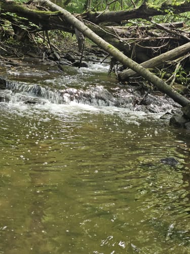 Hohe Brach Wanderung