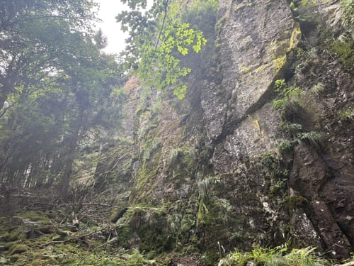 Kälbelescheuer-Nonnenmattweiher