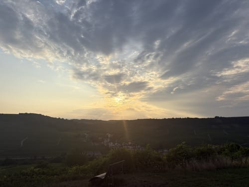 Von Nittel auf dem Moselsteig