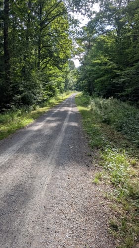 Böblinger Wald Rundweg