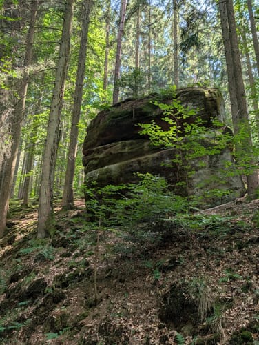 Kneispermühle: Keltenpfad