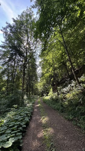 Badeweiler - Sophienruhe - Burberg