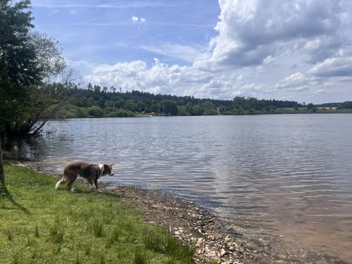 Von Waldhausen nach Dittishausen