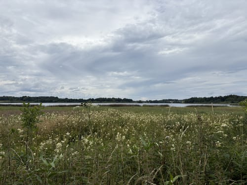 Dreifelder Weiherweg