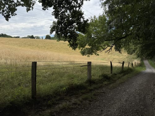 Von Haan zum Schloss Caspersbroich