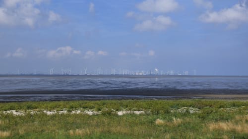 Nordseeküsten-Radweg: D-Route 1 (Radfernweg)