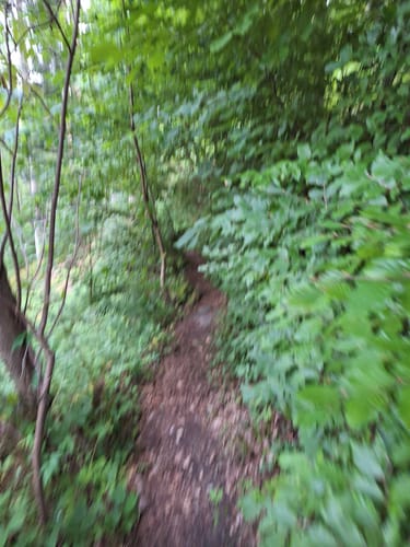 Runde an der Kleinen Enz