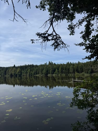 Bernried - Starnberger See Rundwanderung