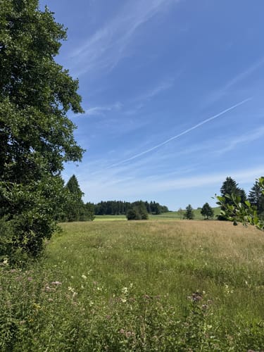 Bernried - Starnberger See Rundwanderung