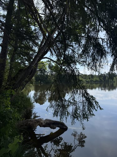 Bernried - Starnberger See Rundwanderung