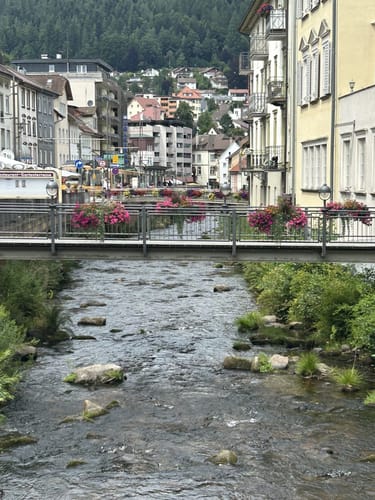 Wildline Hängebrücke