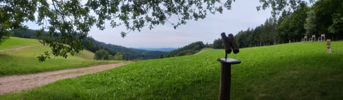 MTB Höhenrunde