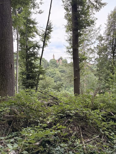 Hirschhorn - Langenthal