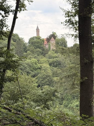 Hirschhorn - Langenthal