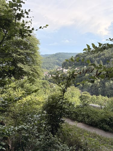 Hirschhorn - Langenthal