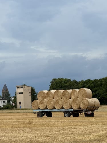 Um die Weilbacher Kiesgruben