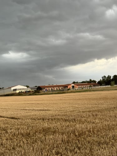 Um die Weilbacher Kiesgruben