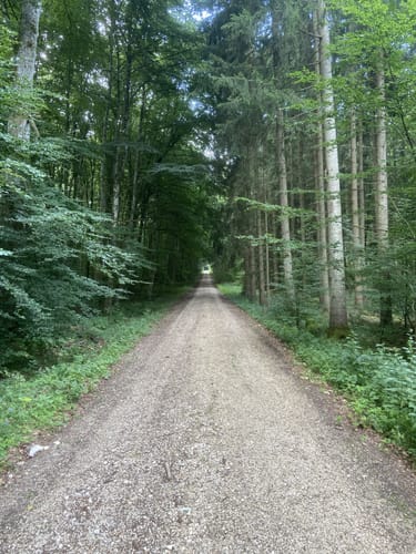 Haintal - Ötterlesbrunnen