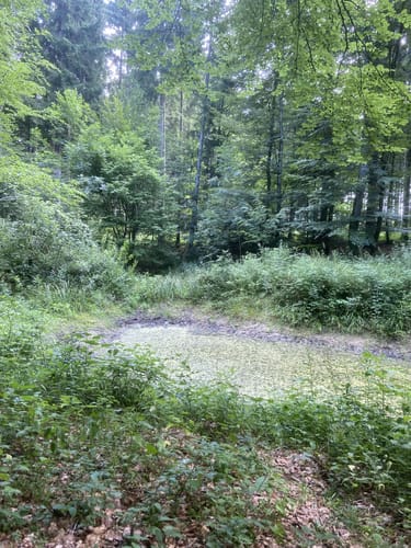 Haintal - Ötterlesbrunnen