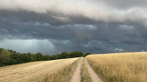 Tiefenthaler Höhe (Hiwweltour)