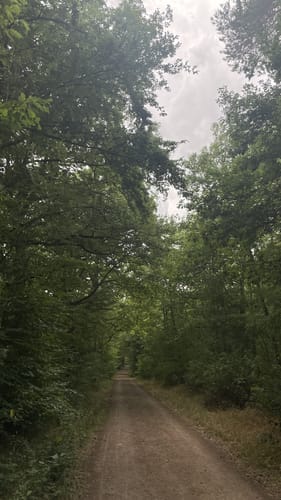 Tiefenthaler Höhe (Hiwweltour)